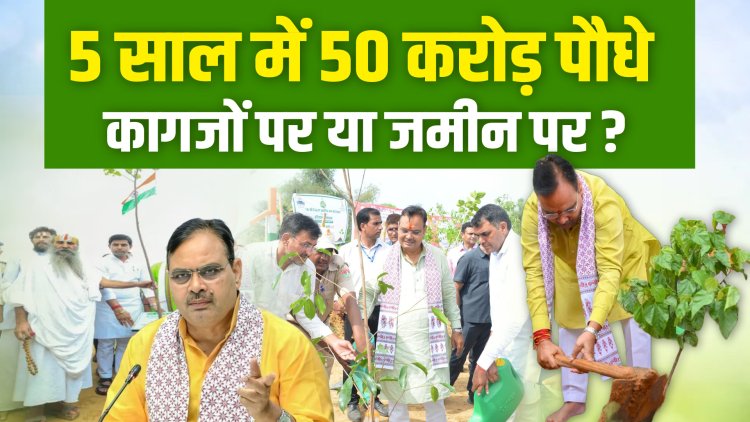 सरकार : करोड़ों पौधे लगाएंगे हकीकत : पुराने पेड़ भी कट रहे