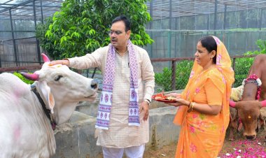 गोपाष्टमी पर CM भजनलाल शर्मा ने किया गौपूजन, प्रदेश की सुख-समृद्धि की कामना