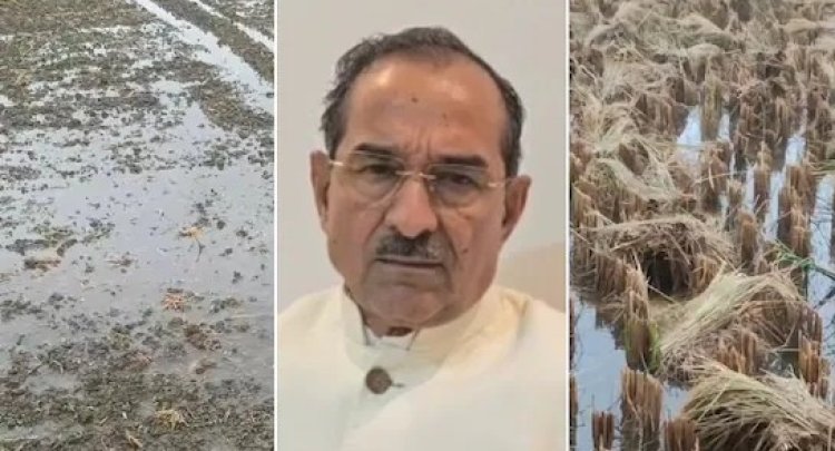 राजस्थान में बेमौसम बारिश से नुकसान हुआ तो मिलेगा मुआवजा, मदन राठौड़ ने किसानों को दी ‘गारंटी’   