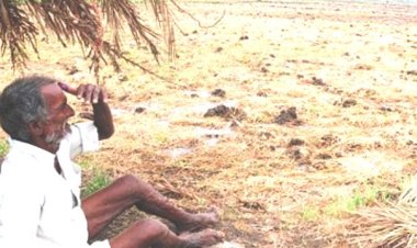 33% से अधिक फसल नुकसान वाले क्षेत्र घोषित आपदा प्रभावित, किसानों को बड़ी राहत