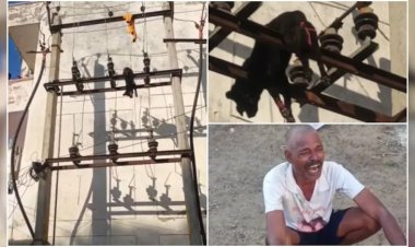 जयपुर में क्रूरता की हद, युवक ने कुत्ते को पैर बांधकर ट्रांसफार्मर पर फेंका, तड़प-तड़पकर हुई मौत