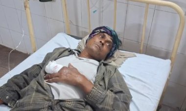 किसान पर भालू का हमला, गंभीर रूप से घायल, हॉस्पिटल में भर्ती