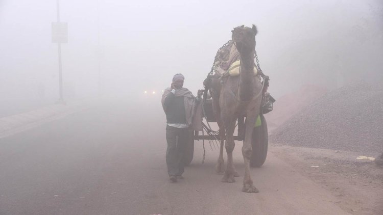 राजस्थान में अब कड़ाके की ठंड का इंतजार, कई जिलों में छाया घना कोहरा