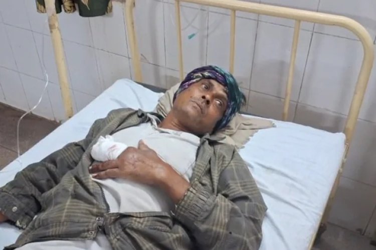 किसान पर भालू का हमला, गंभीर रूप से घायल, हॉस्पिटल में भर्ती