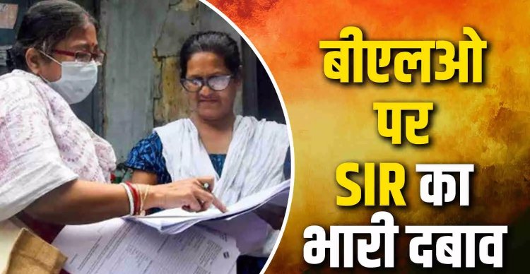 SIR के दौरान BLO की आत्महत्या के बाद निर्वाचन विभाग का बड़ा फैसला, अतिरिक्त BLO, सूचना सहायक नियुक्त करने का ऐलान