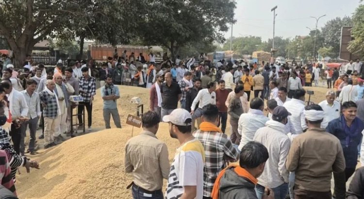 कोटा भामाशाह मंडी में धान की बंपर आवक, गुजरात-हरियाणा से एक्सपोर्टर्स का डेरा, कीमतें 3,300 तक पहुंचीं