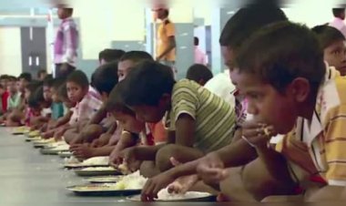 पालनहार योजना के लाभार्थियों को 31 दिसंबर तक वार्षिक सत्यापन जरूरी, नहीं तो रुक सकती है पेंशन