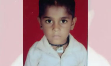 रणथंभौर में फिर पैंथर का खौफनाक हमला: पिता के हाथ से 8 साल के मासूम को घसीट ले गया, मौके पर मौत