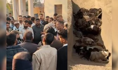 गौशाला में गोवंश मौतों का मामला, ग्रामीणों में आक्रोश, अध्यक्ष ने दिया इस्तीफा