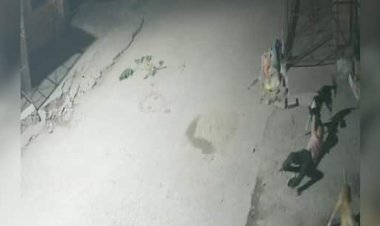 आवारा कुत्तों का आतंक, 9 साल के बच्चे पर हमला, सीसीटीवी में कैद घटना