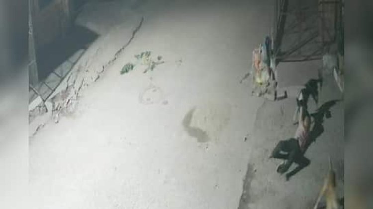 आवारा कुत्तों का आतंक, 9 साल के बच्चे पर हमला, सीसीटीवी में कैद घटना