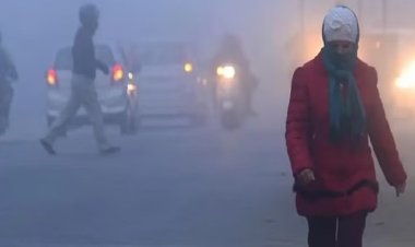 Rajasthan Weather : ठंड और कोहरे का असर जारी, सर्द हवाओं ने फिर से जमाया कब्जा