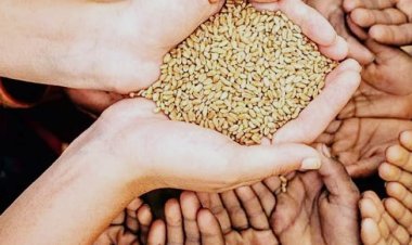 एनएफएसए परिवारों को राहत, राशन कार्ड में छूटे सदस्यों के नाम जोड़ने की प्रक्रिया फिर शुरू