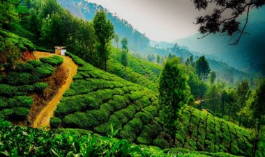 कम पैसों में बड़ी छुट्टियां, भारत के छुपे हुए विदेशी ठिकाने