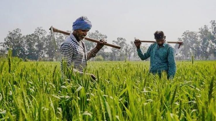 Union Budget 2026: किसानों और कृषि क्षेत्र को मिला बड़ा समर्थन...मछुआरों के लिए आय बढ़ाने की नई योजना