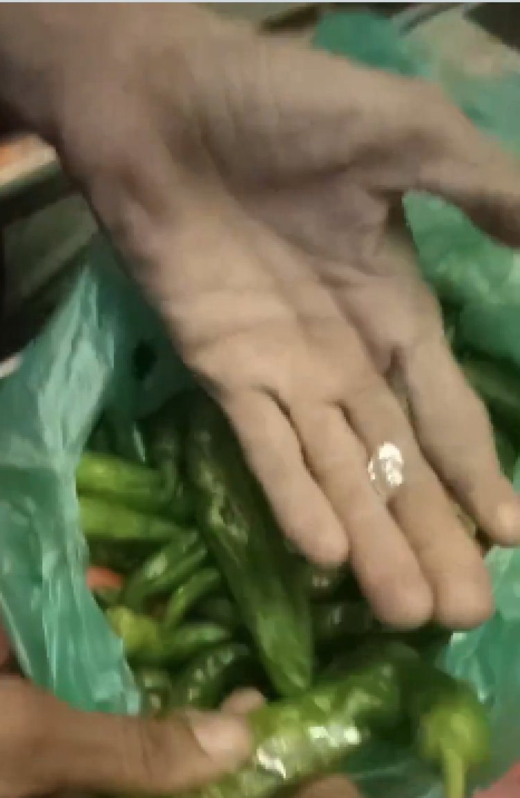 जोधपुर–हैदराबाद बस रूट पर नशे की नई खेप, हरी मिर्च की आड़ में स्मैक–एमडी की तस्करी का खुलासा