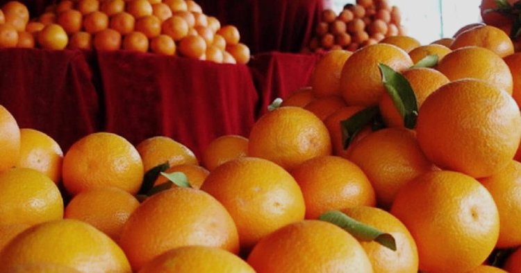 श्रीगंगानगर में किन्नू प्रोसेसिंग प्लांट को मंजूरी, किसानों को मिलेगा बेहतर दाम