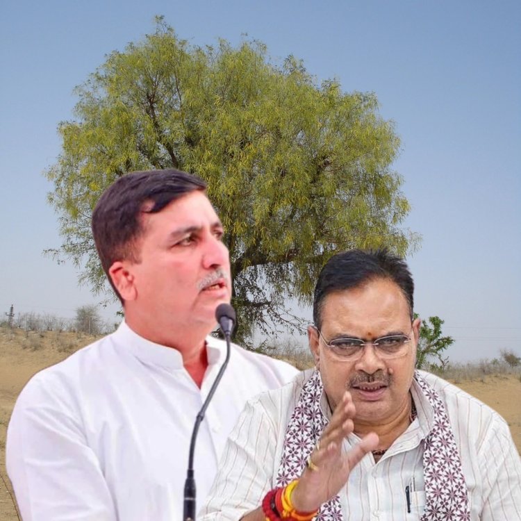 विधानसभा में उठा खेजड़ी संरक्षण का मुद्दा, हरीश चौधरी ने सरकार पर साधा निशाना