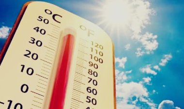 राजस्थान में मार्च की शुरुआत में ही बढ़ी गर्मी, कई जिलों में तापमान 38 डिग्री के करीब