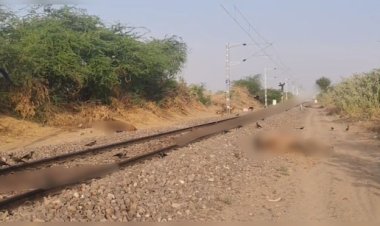 जैसलमेर में लीलण एक्सप्रेस की चपेट में 6 ऊंटों की मौत, रेल 30 मिनट तक रुकी