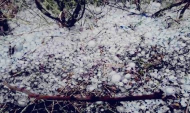 राजस्थान में बदला मौसम, आंधी-बारिश और ओलावृष्टि का अलर्ट जारी