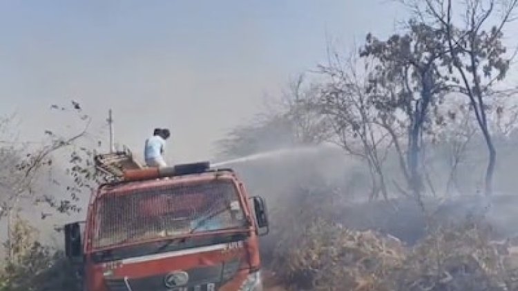 डूंगरपुर में जंगल में भीषण आग, 5 घंटे की मशक्कत के बाद काबू; बड़ा हादसा टला