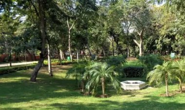 जयपुर रामनिवास बाग चंदन चोरी केस: CAG की सख्ती, 90 लाख वसूली के आदेश