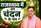 राजस्थान में होंगे 'चंदन' के वन, मंत्री संजय शर्मा ने किया निरीक्षण
