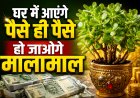 घर में आएंगे पैसे ही पैसे, हो जाओगे मालामाल