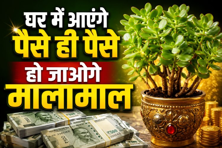 घर में आएंगे पैसे ही पैसे, हो जाओगे मालामाल