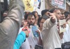दिल्ली में 'कॉकरोच जनता पार्टी' का बड़ा शक्ति प्रदर्शन, जंतर-मंतर पर जुटे समर्थक...धर्मेंद्र प्रधान के इस्तीफे की मांग तेज