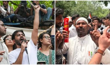 जंतर-मंतर पर कॉकरोच जनता पार्टी का धरना, HIT लेकर पहुंचा शख्स, बताया- टुकड़े-टुकड़े गैंग का सदस्य