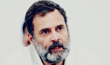 Congress Reshuffle: कांग्रेस संगठन में बड़ा फेरबदल तय! कई प्रदेश अध्यक्षों और महासचिवों की हो सकती है छुट्टी