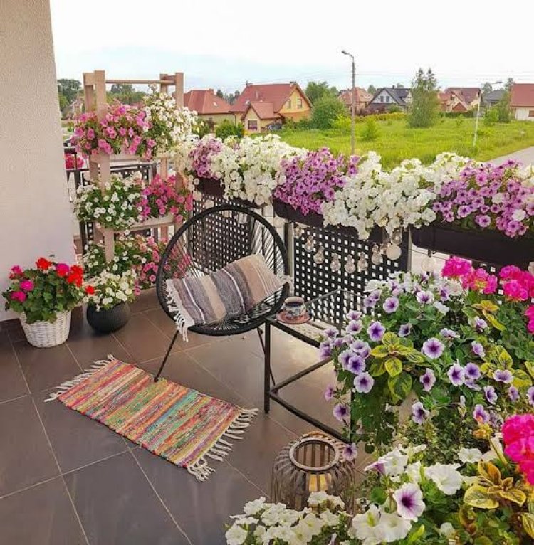 Balcony Vastu Tips: बालकनी में लगाएं ये 5 पौधे, घर में बढ़ेगी सुख-समृद्धि और धन का आगमन