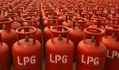 भारत में पहली बार Instamart पर शुरू हुई LPG सिलेंडर की ऑन-डिमांड डिलीवरी, HPCL के साथ लॉन्च हुई नई सेवा