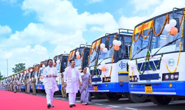 Rajasthan Roadways: 144 नई BS-6 ब्लू लाइन बसों को CM भजनलाल शर्मा ने दिखाई हरी झंडी, 23 डिपो को मिला आवंटन