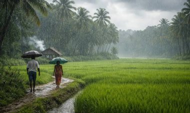 राजस्थान में फिर लौटेगा मानसून का जोर, 29 जुलाई से 2 अगस्त तक भारी बारिश के आसार; कई जिलों में तेज हवाओं का अलर्ट