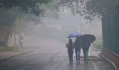 Rajasthan Weather Today: बंगाल की खाड़ी के डीप डिप्रेशन से बदलेगा मौसम, 2 अगस्त तक राजस्थान में भारी बारिश का दौर, कई जिलों में येलो अलर्ट