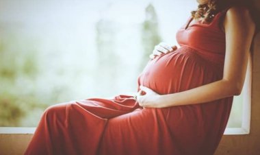 Rajasthan News: प्रसूताओं के लिए भजनलाल सरकार का बड़ा फैसला, सरकारी अस्पतालों में बिना रिप्लेसमेंट डोनर मिलेगा ब्लड