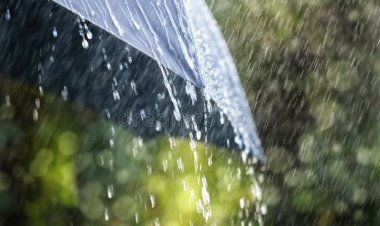 Rajasthan Aaj Ka Mausam: राजस्थान में फिर सक्रिय हुआ मानसून, 2 अगस्त तक भारी बारिश का अलर्ट, कई जिलों में ऑरेंज और येलो चेतावनी