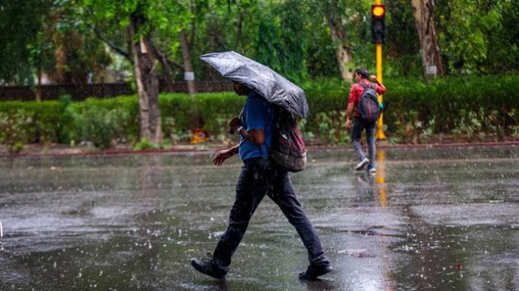 मानसून ने दिखाई पूरी ताकत: राजस्थान में बारिश का दौर तेज, मौसम विभाग का बड़ा अलर्ट