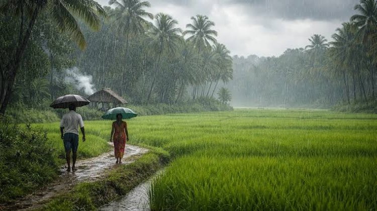 राजस्थान में फिर लौटेगा मानसून का जोर, 29 जुलाई से 2 अगस्त तक भारी बारिश के आसार; कई जिलों में तेज हवाओं का अलर्ट