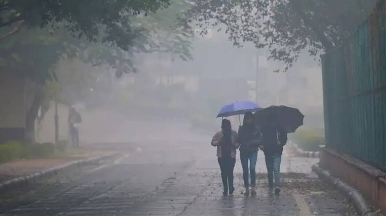 Rajasthan Weather Today: बंगाल की खाड़ी के डीप डिप्रेशन से बदलेगा मौसम, 2 अगस्त तक राजस्थान में भारी बारिश का दौर, कई जिलों में येलो अलर्ट