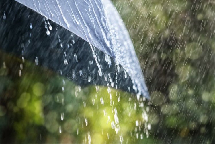 Rajasthan Aaj Ka Mausam: राजस्थान में फिर सक्रिय हुआ मानसून, 2 अगस्त तक भारी बारिश का अलर्ट, कई जिलों में ऑरेंज और येलो चेतावनी