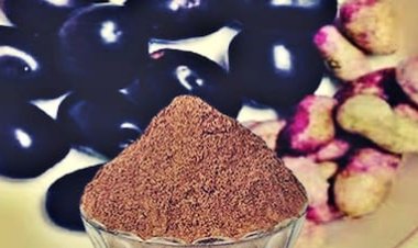जामुन की गुठली का चूर्ण सेहत के लिए कितना फायदेमंद? जानिए इसके फायदे और सावधानियां