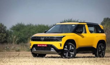 Tata Motors Discount: अगस्त में Tata की कार खरीदने का शानदार मौका, EV पर 3.5 लाख तक का फायदा; देखें पूरी लिस्ट