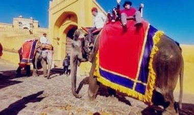 आमेर घूमने का प्लान है तो टाइमिंग नोट कर लें, हाथी सवारी से लाइट एंड साउंड शो तक बदला शेड्यूल