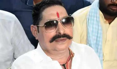 JDU से निष्कासन के बाद बोले अनंत सिंह, पार्टी के फैसले पर जताई सहमति