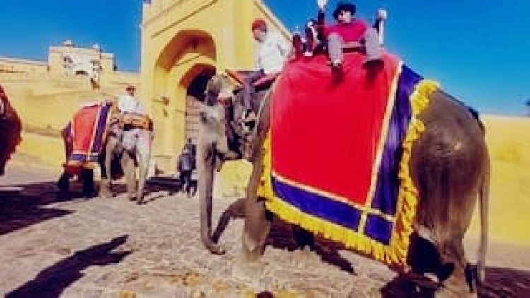 आमेर घूमने का प्लान है तो टाइमिंग नोट कर लें, हाथी सवारी से लाइट एंड साउंड शो तक बदला शेड्यूल